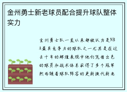 金州勇士新老球员配合提升球队整体实力
